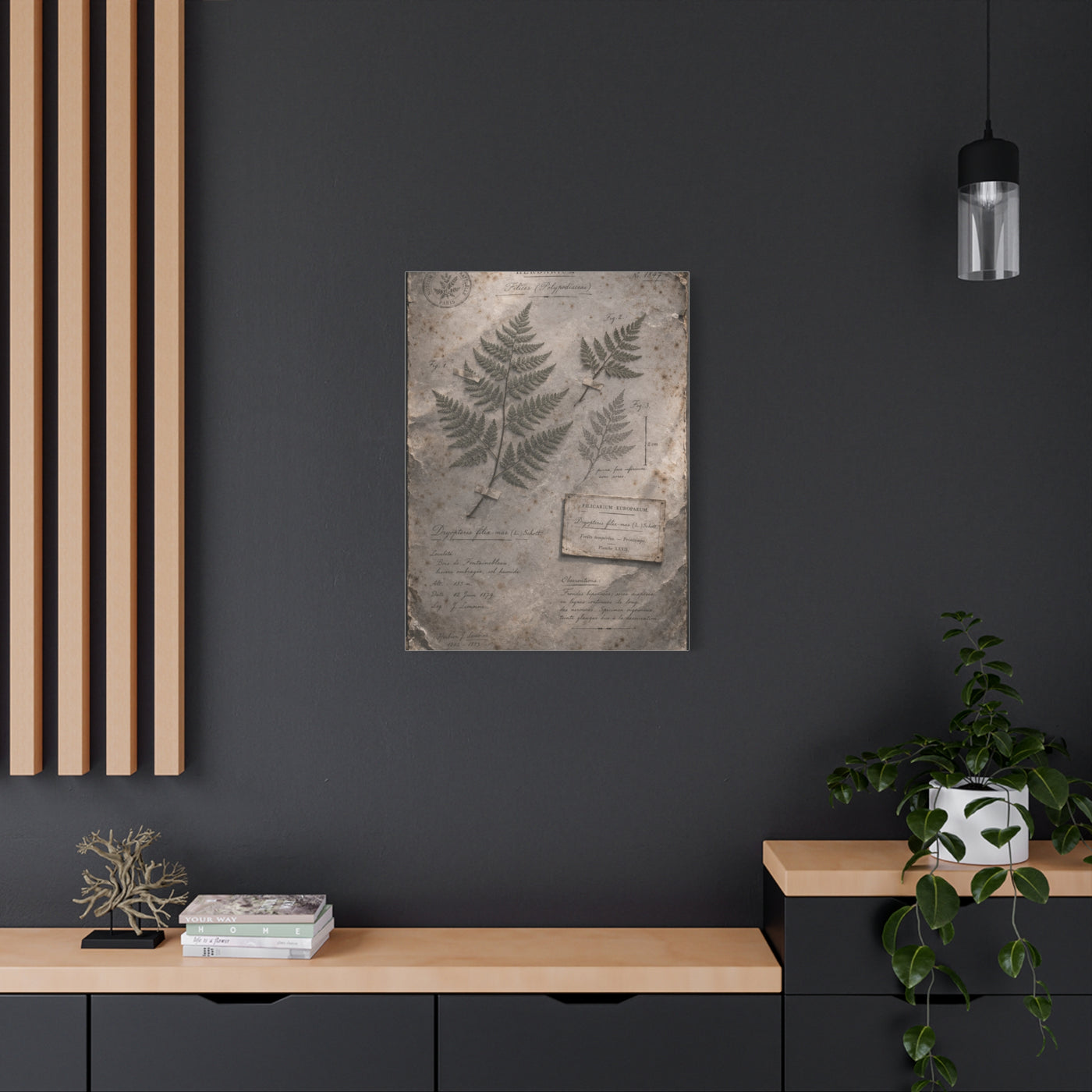Antique Fern Herbarium Archive Wall Art & Canvas Print