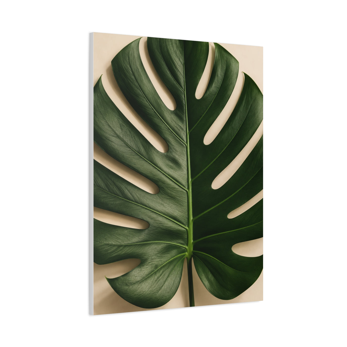 Minimal Monstera Leaf Botanical Tropical Wall Art & Canvas Print