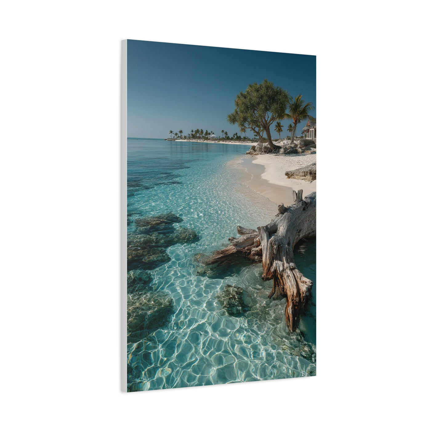 Tropical Driftwood Cove Wall Art & Canvas Print