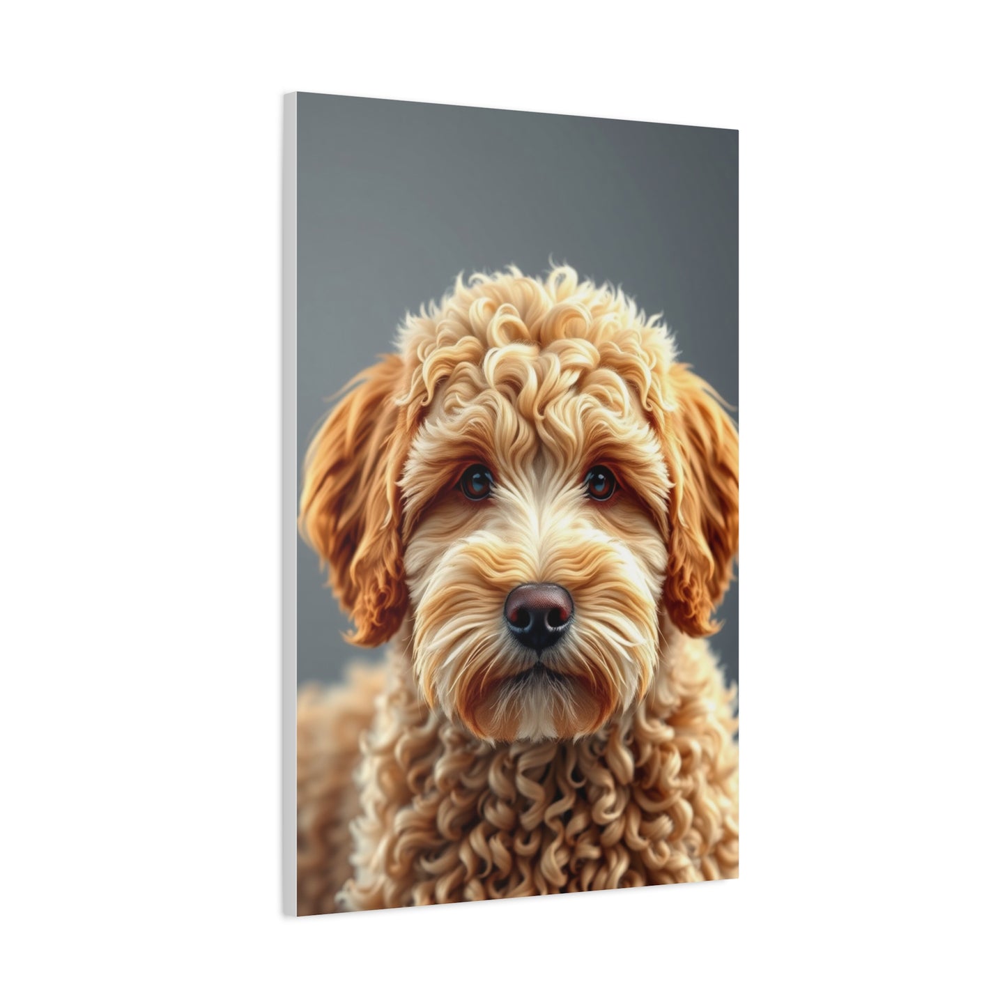 Supreme Canvas Golden Doodle Art Collection Wall Art & Canvas Print