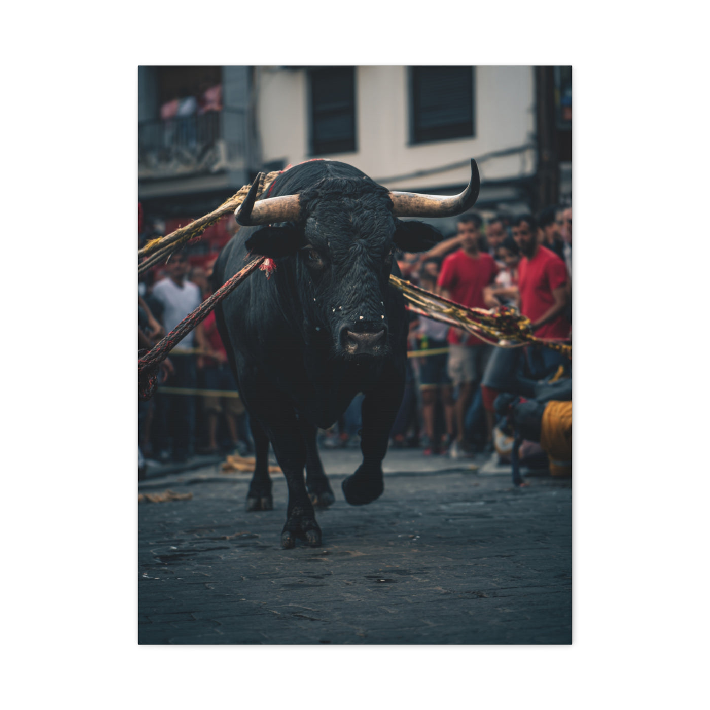 Bull Guided Through Festival Streets Wall Art & Canvas Print