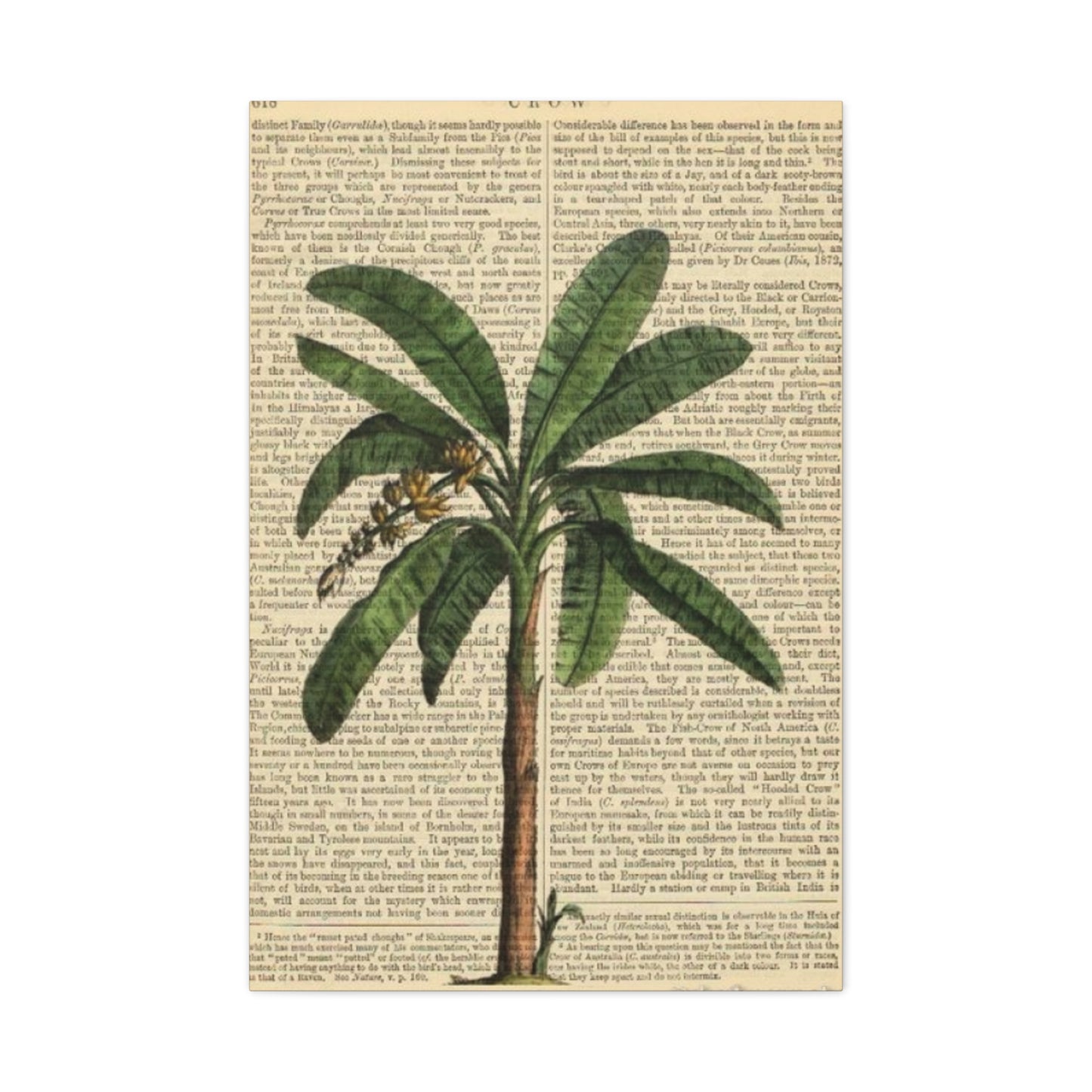 Palm Tree Painting On Vintage Paper Wall Art & Canvas Prints
