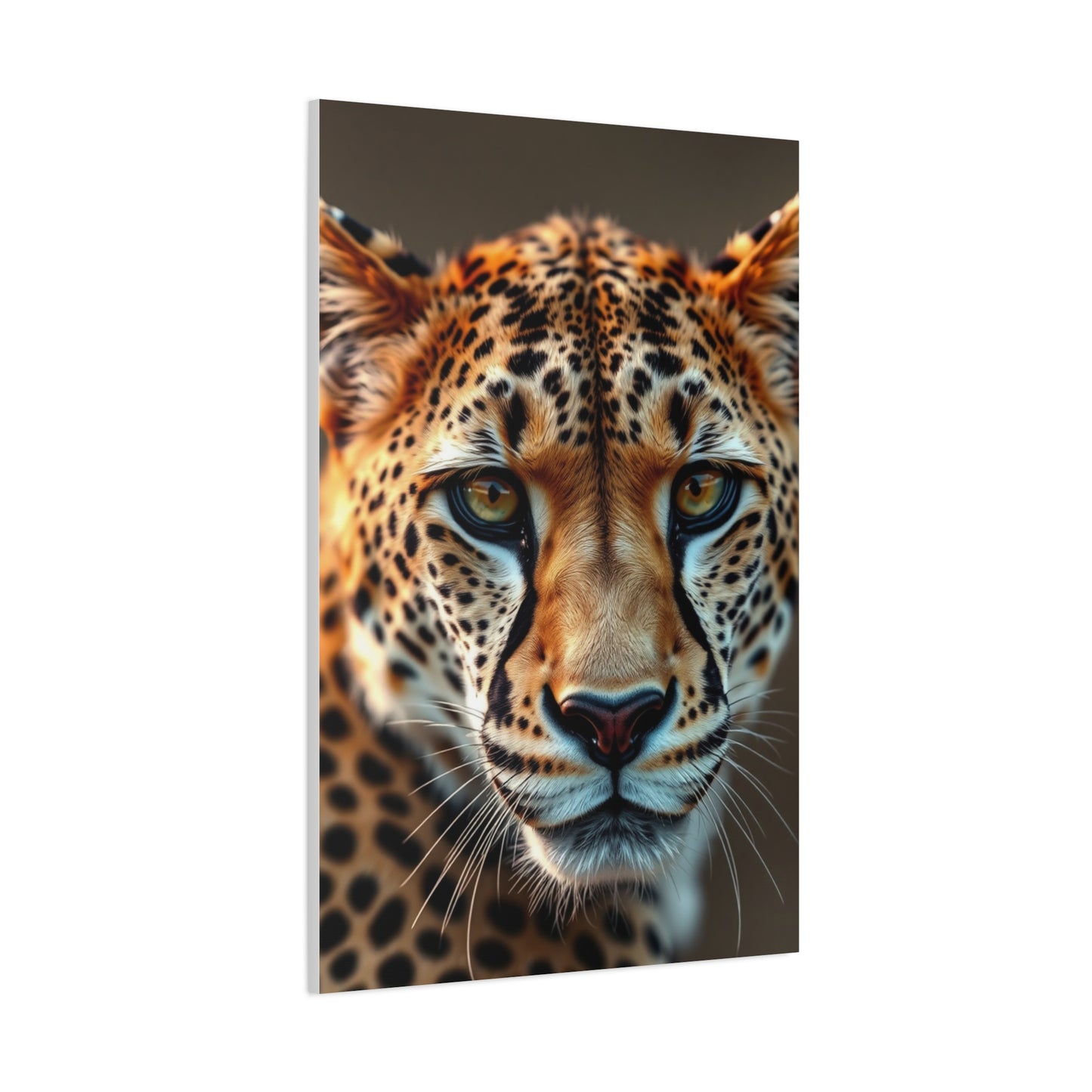 Supreme Cheetah Art Collection Wall Art & Canvas Print