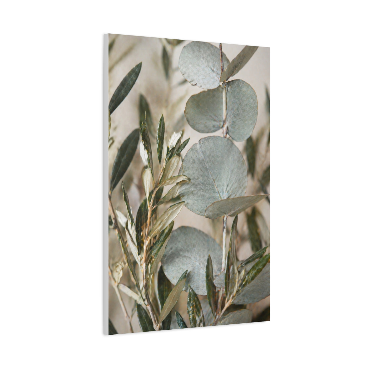Botanical Eucalyptus Close-Up Wall Art & Canvas Print