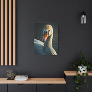 Serene Swan Reflection Wall Art & Canvas Prints