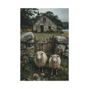 Sheep at Farmhouse Gate Wall Art & Canvas Print