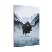 Lone Bull in Snowy Mountain Valley Wall Art & Canvas Print