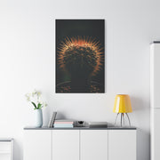 Midnight Desert Cactus Wall Art & Canvas Prints