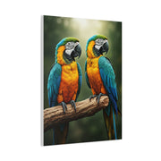Blue & Gold Macaw Duo Wall Art & Canvas Prints
