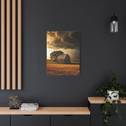 Stormlight Harvest Barn Wall Art & Canvas Prints