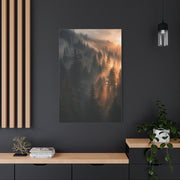 Misty Pine Forest Sunrise Depth Trees Wall Art & Canvas Print