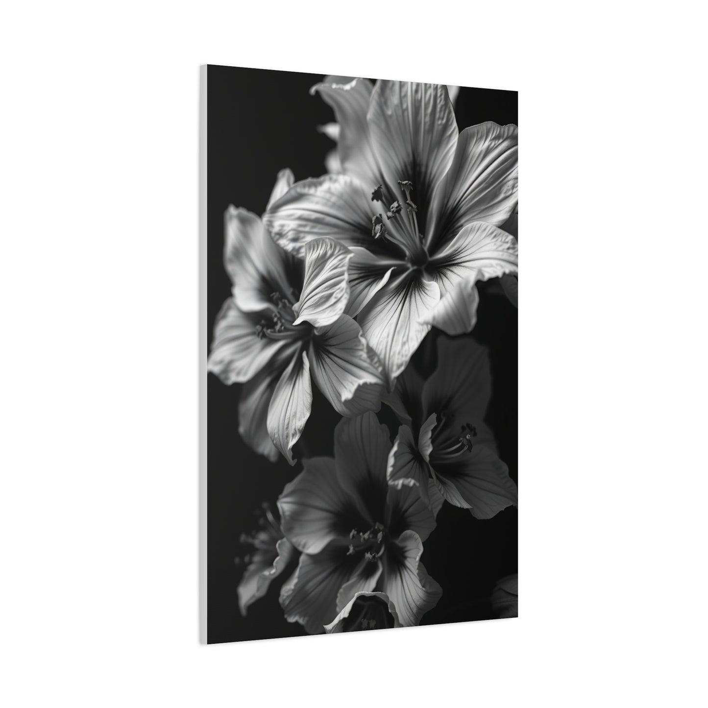 Noir & Blanc Floral Symphony Wall Art & Canvas Print