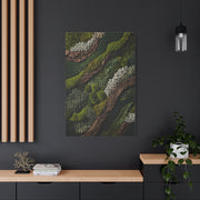 Biophilic Moss Landscape Texture Wall Art & Canvas Print