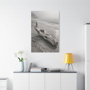Driftwood Coastal Minimal Wall Art & Canvas Print