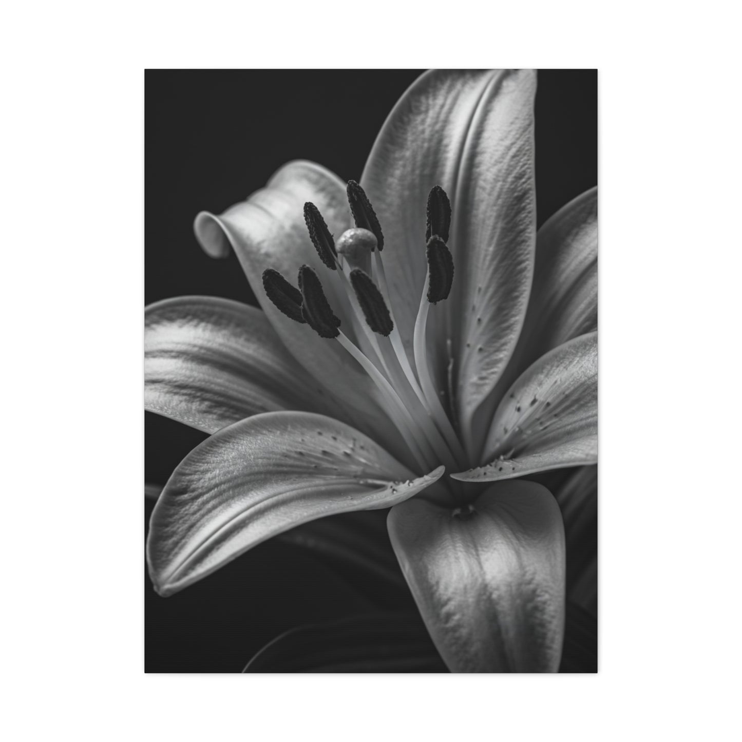 Lavender Silhouette in Low Light Wall Art & Canvas Prints