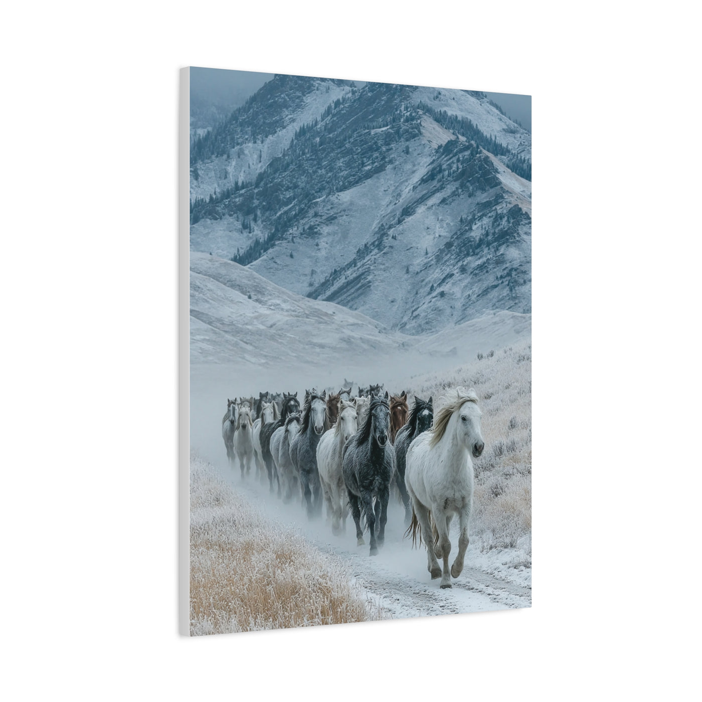 Wild Horse Herd Mountain Run Wall Art & Canvas Print