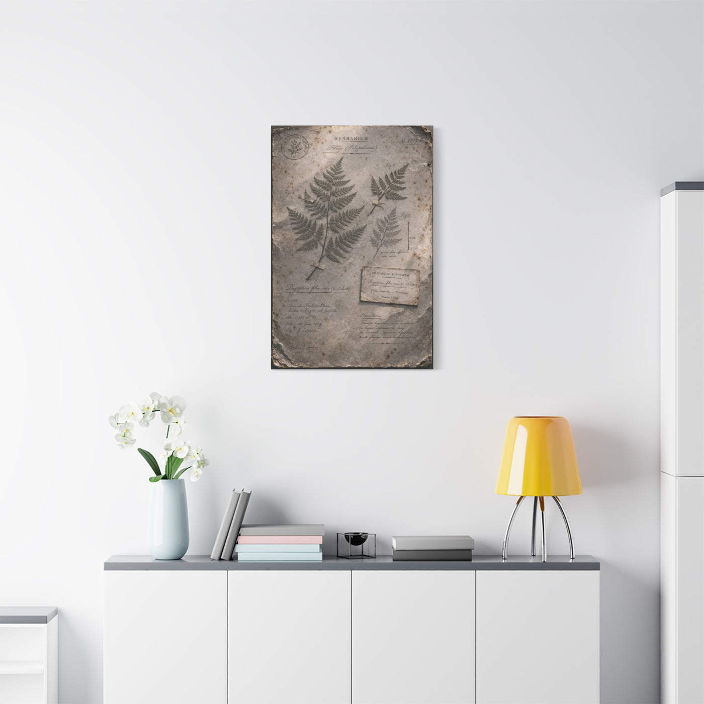 Antique Fern Herbarium Archive Wall Art & Canvas Print