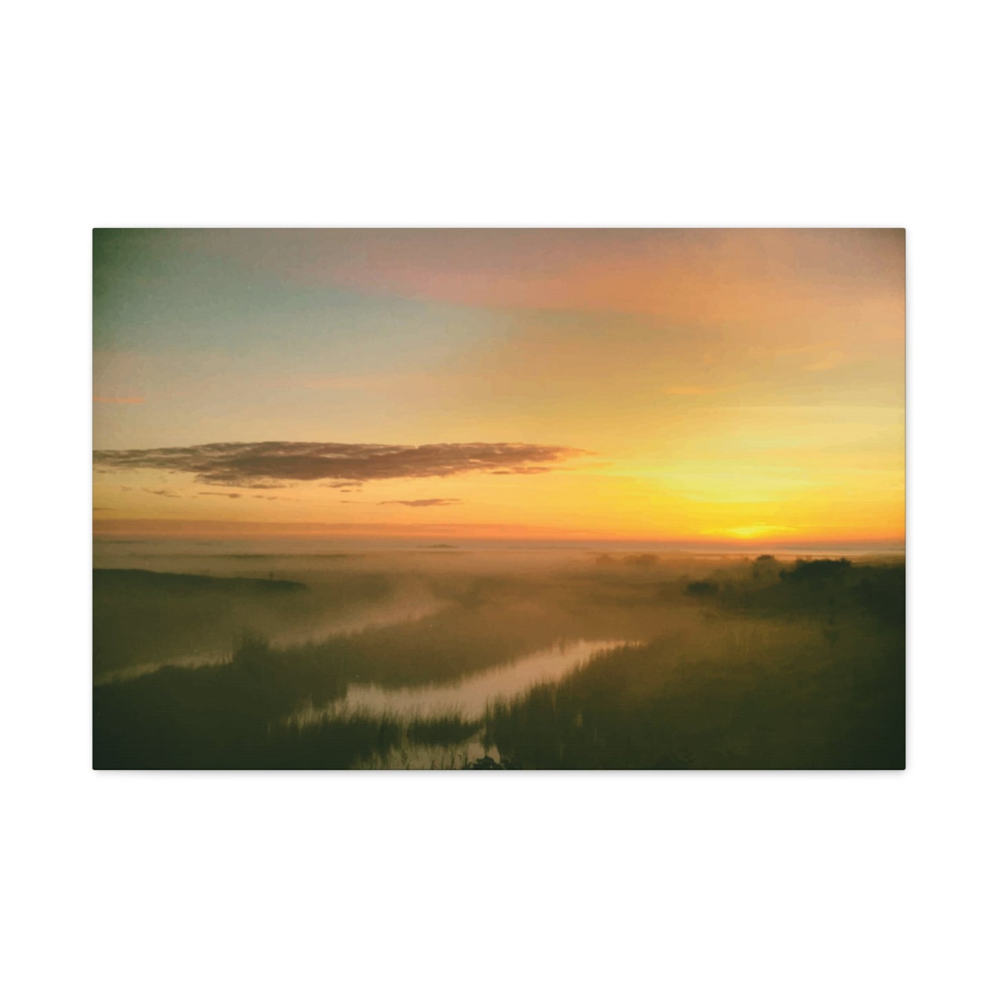 Tim's Wall Art & Canvas Prints