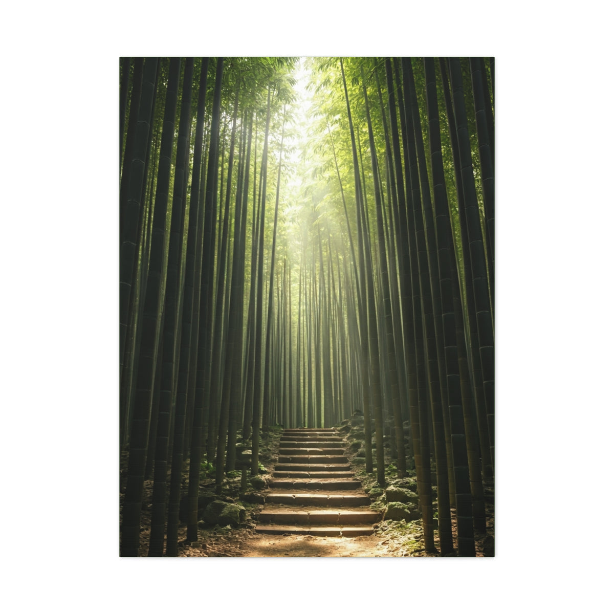 Bamboo Path of Tranquility Wall Art & Canvas Prints