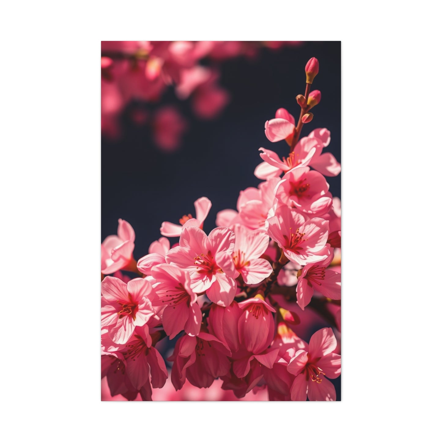 Elite Cherry Blossom Wall Art Vision Wall Art & Canvas Print