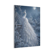 Snowy Moonlit White Peacock Wall Art & Canvas Print