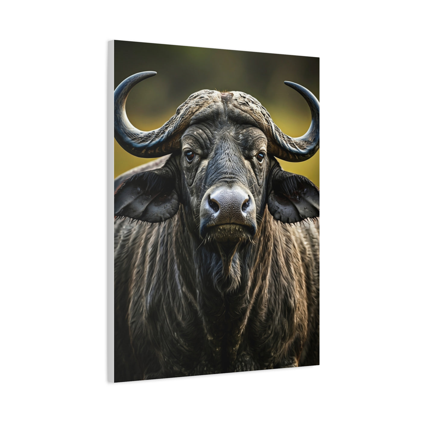 Golden Rim-Lit Buffalo Portrait Wall Art & Canvas Print