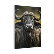 Golden Rim-Lit Buffalo Portrait Wall Art & Canvas Print