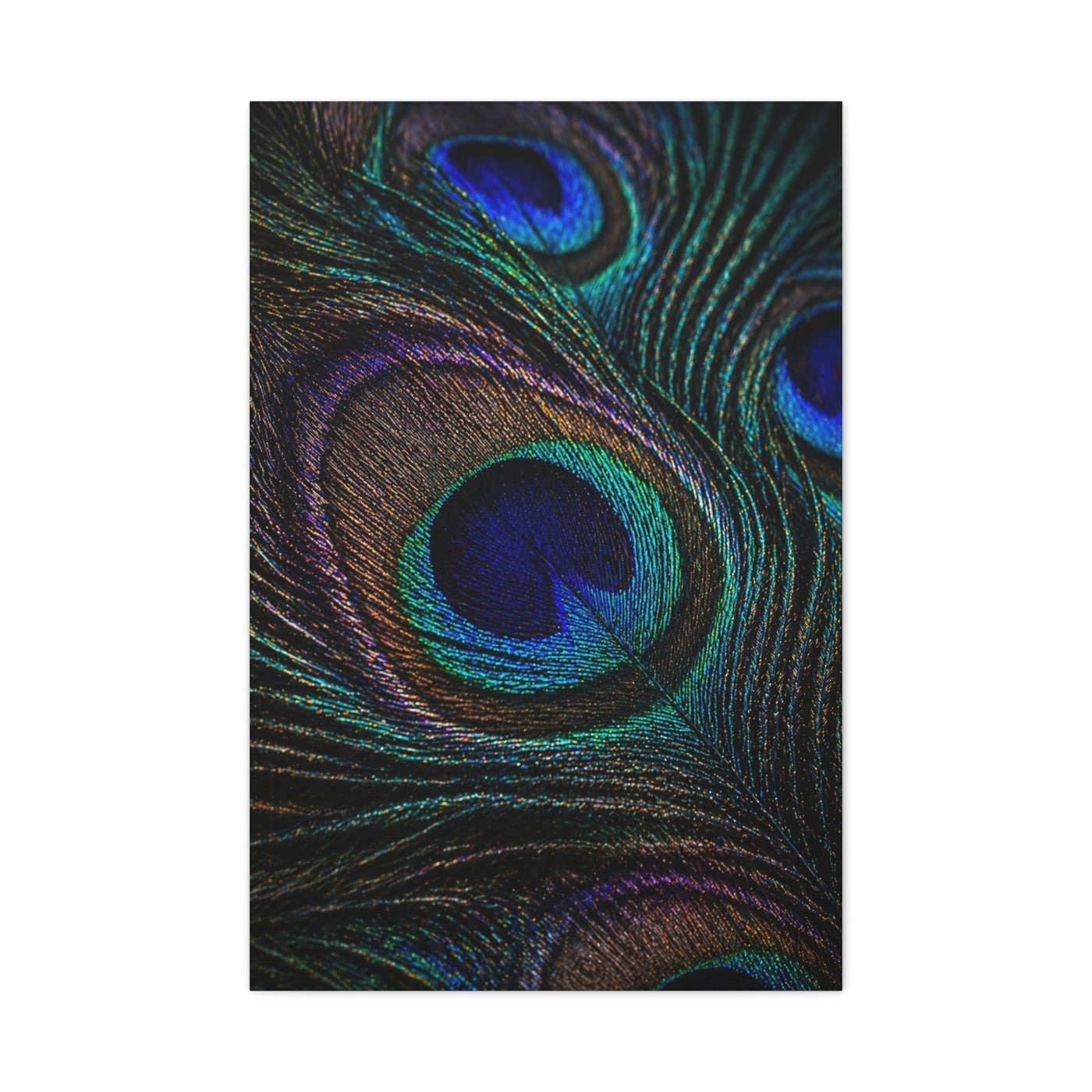 Macro Iridescent Peacock Feather Wall Art & Canvas Print