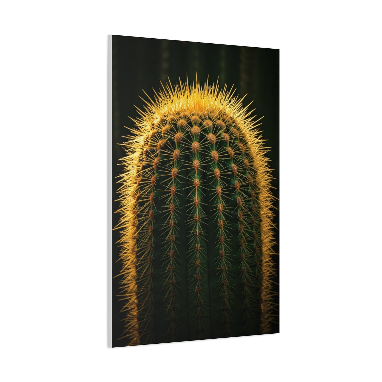 Radiant Barrel Cactus Glow Wall Art & Canvas Prints