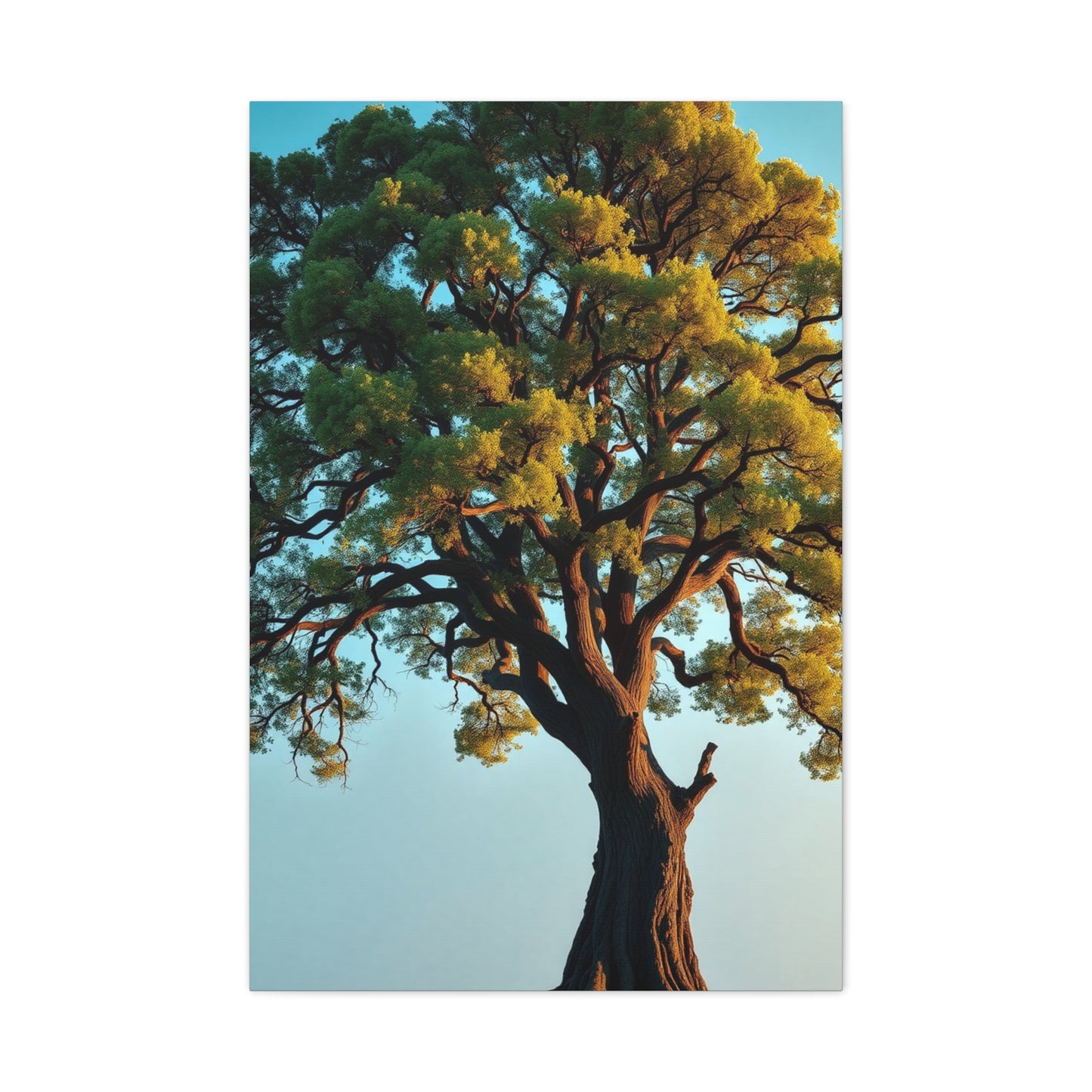 Oak Tree Art Supreme Canvas Wall Art & Canvas Print