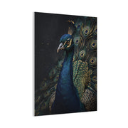 Dark Luxury Peacock Portrait Wall Art & Canvas Print