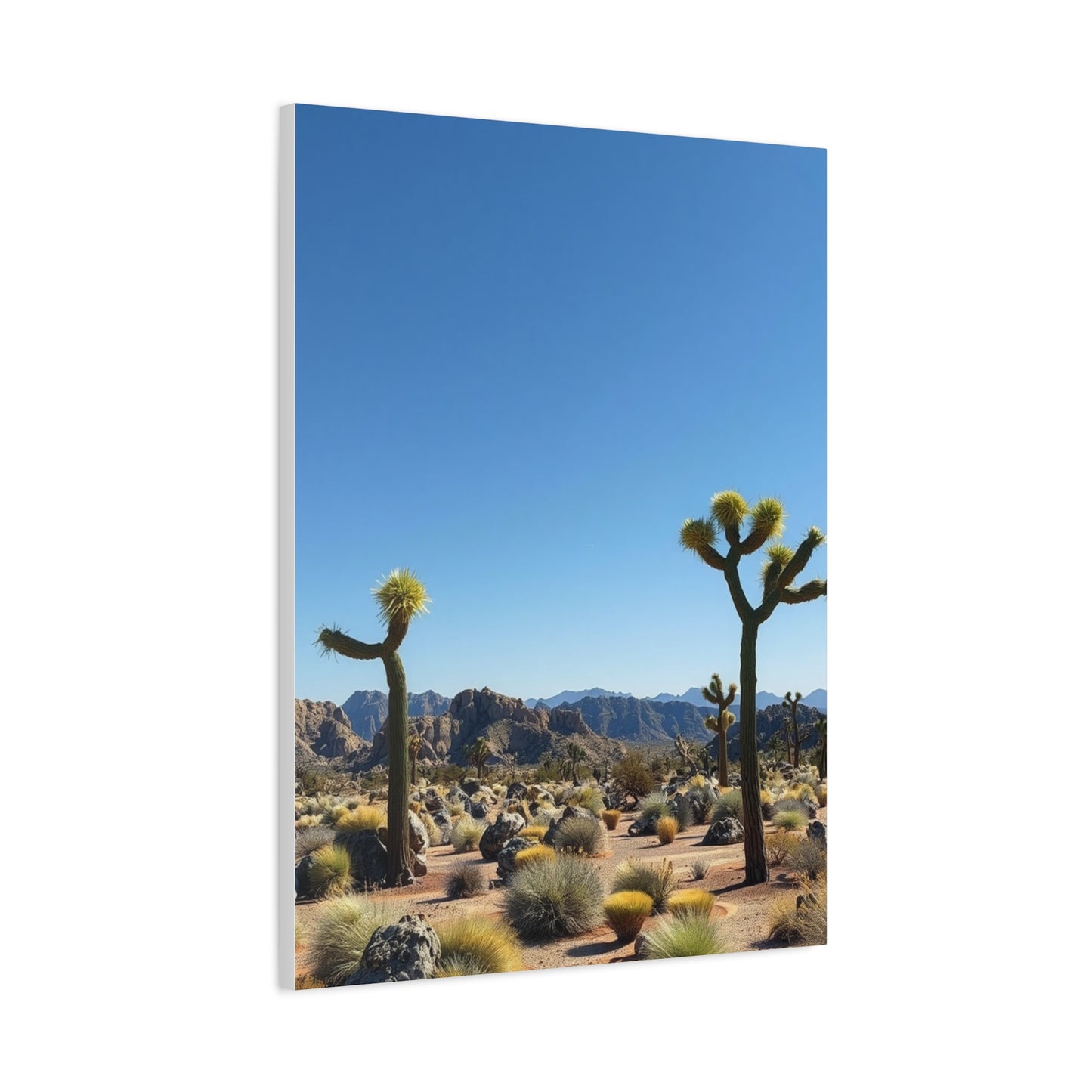 Vision Joshua Tree National Park Art Art Wall Art & Canvas Print