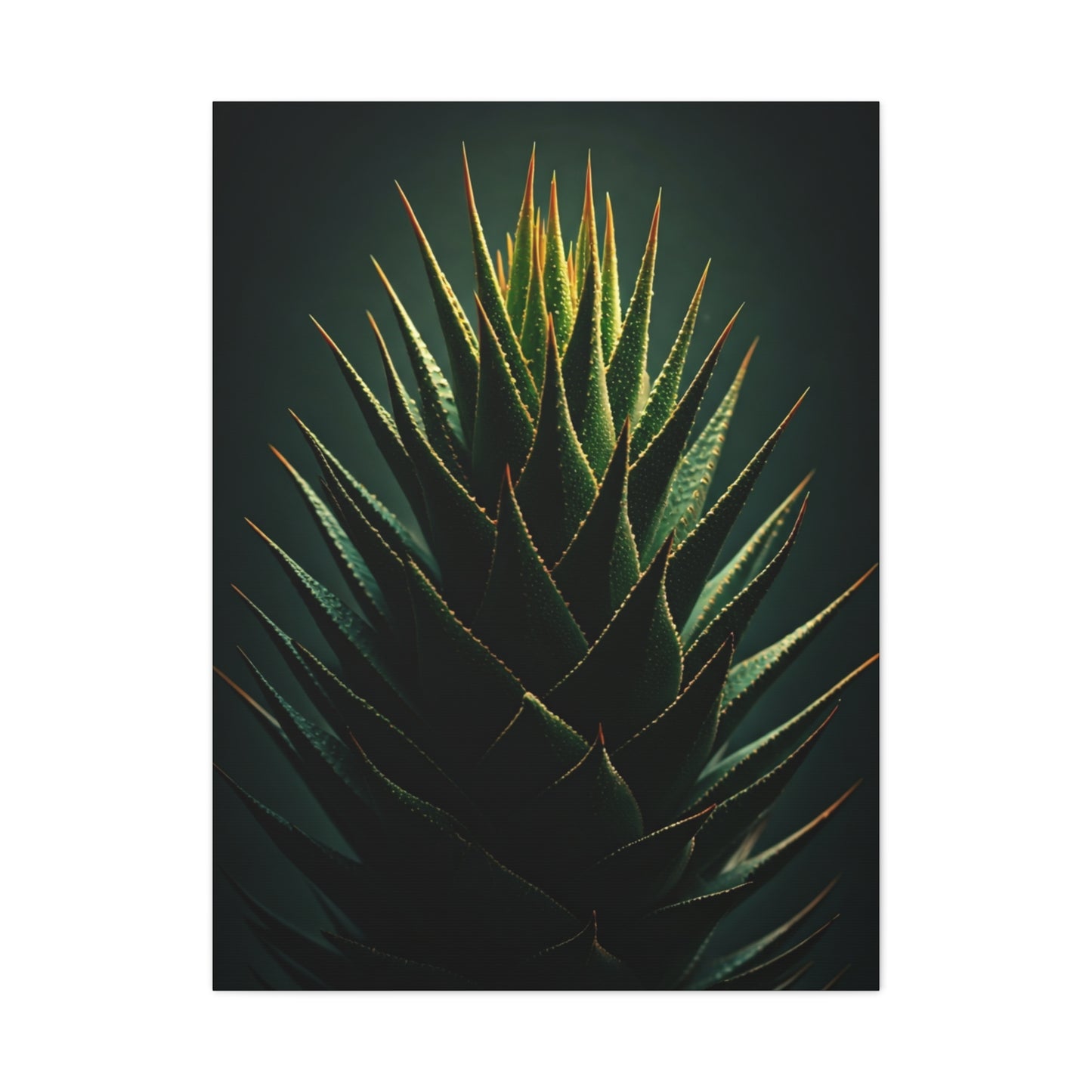Agave Pinnacle Majesty Wall Art & Canvas Prints