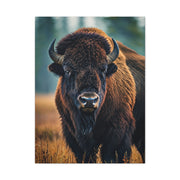 American Bison in Autumn Prairie Light Wall Art & Canvas Print