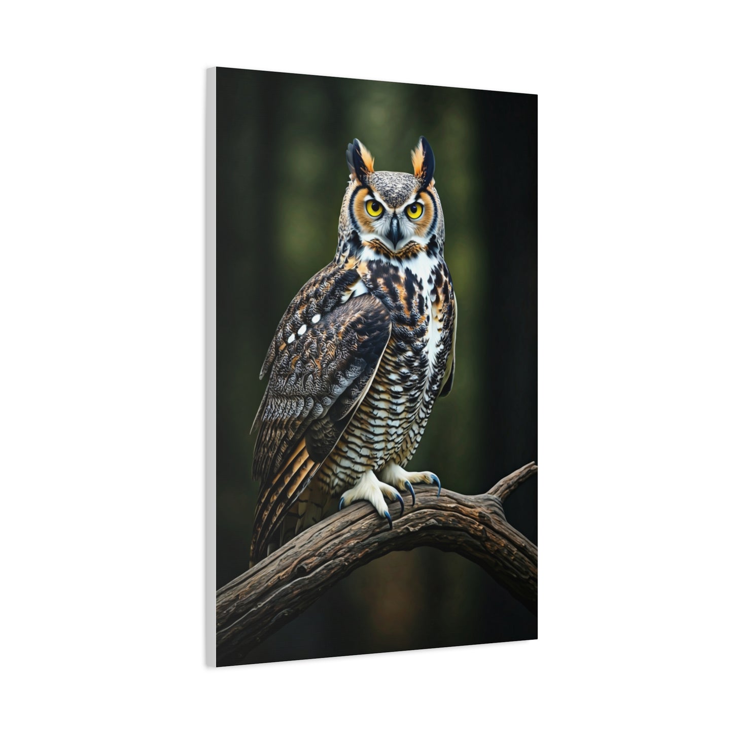 Majestic Owl Perch Wall Art & Canvas Prints