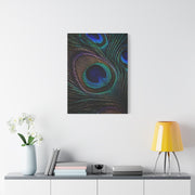 Macro Iridescent Peacock Feather Wall Art & Canvas Print