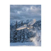Snowy Owl Mountain Flight Wall Art & Canvas Print