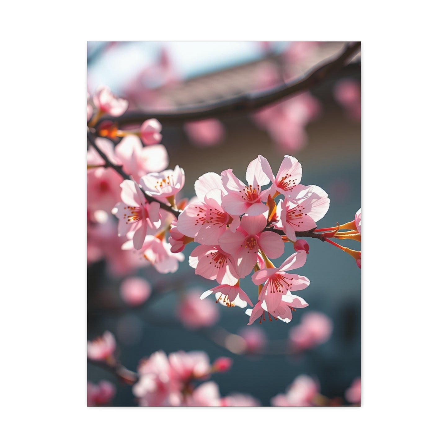 Blossom Reverie Canvas