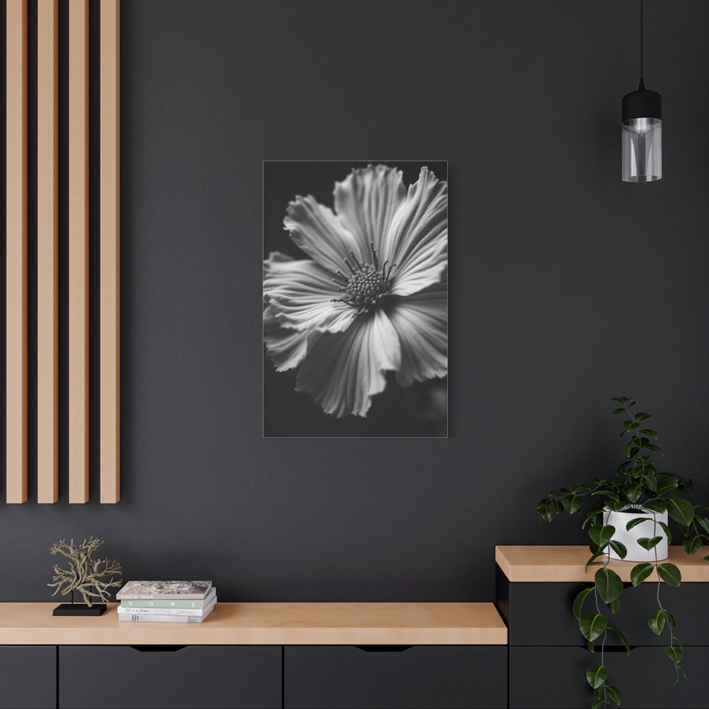 Dramatic Monochrome Cosmos Bloom Wall Art & Canvas Prints