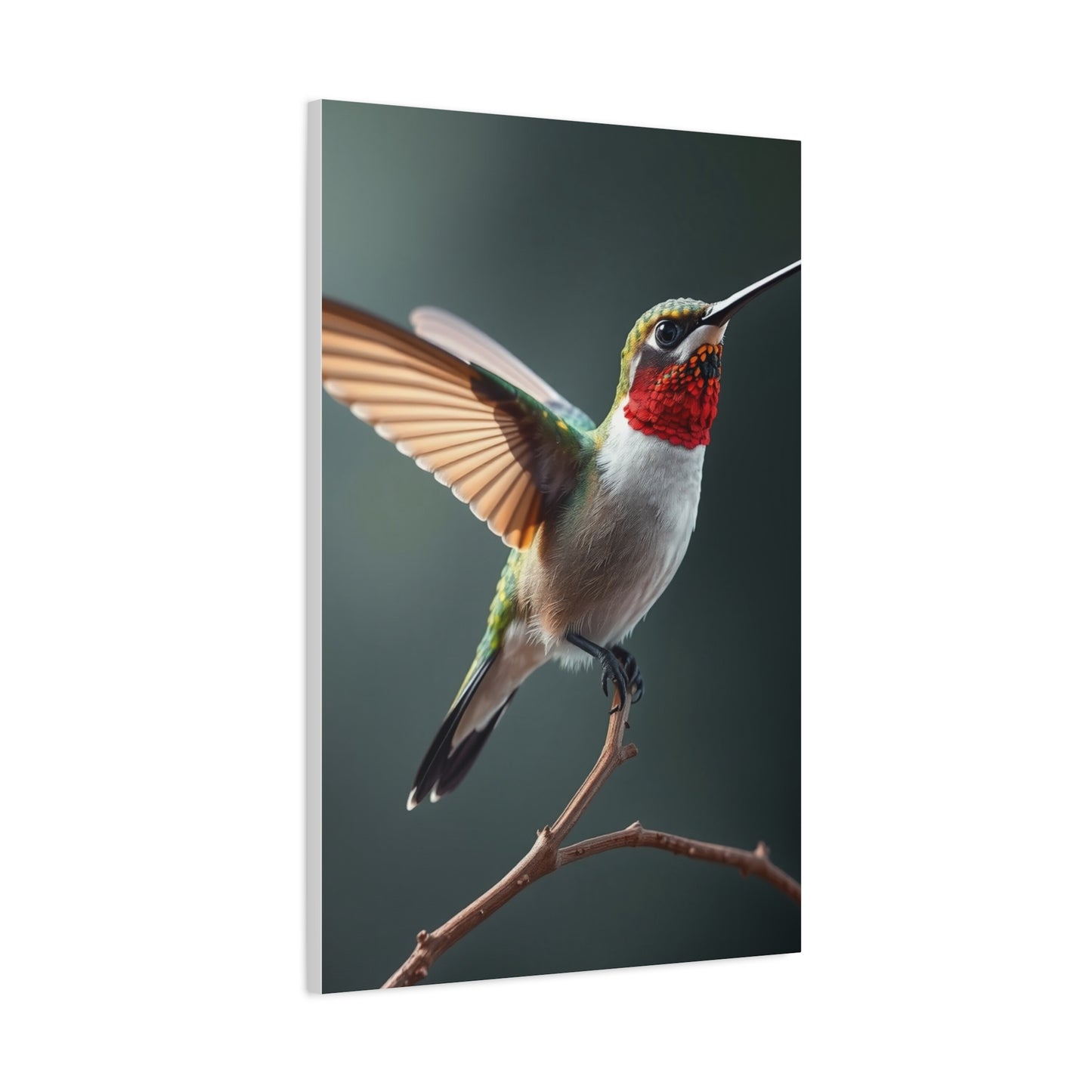 Supreme Humming Bird Art Collection Wall Art & Canvas Print