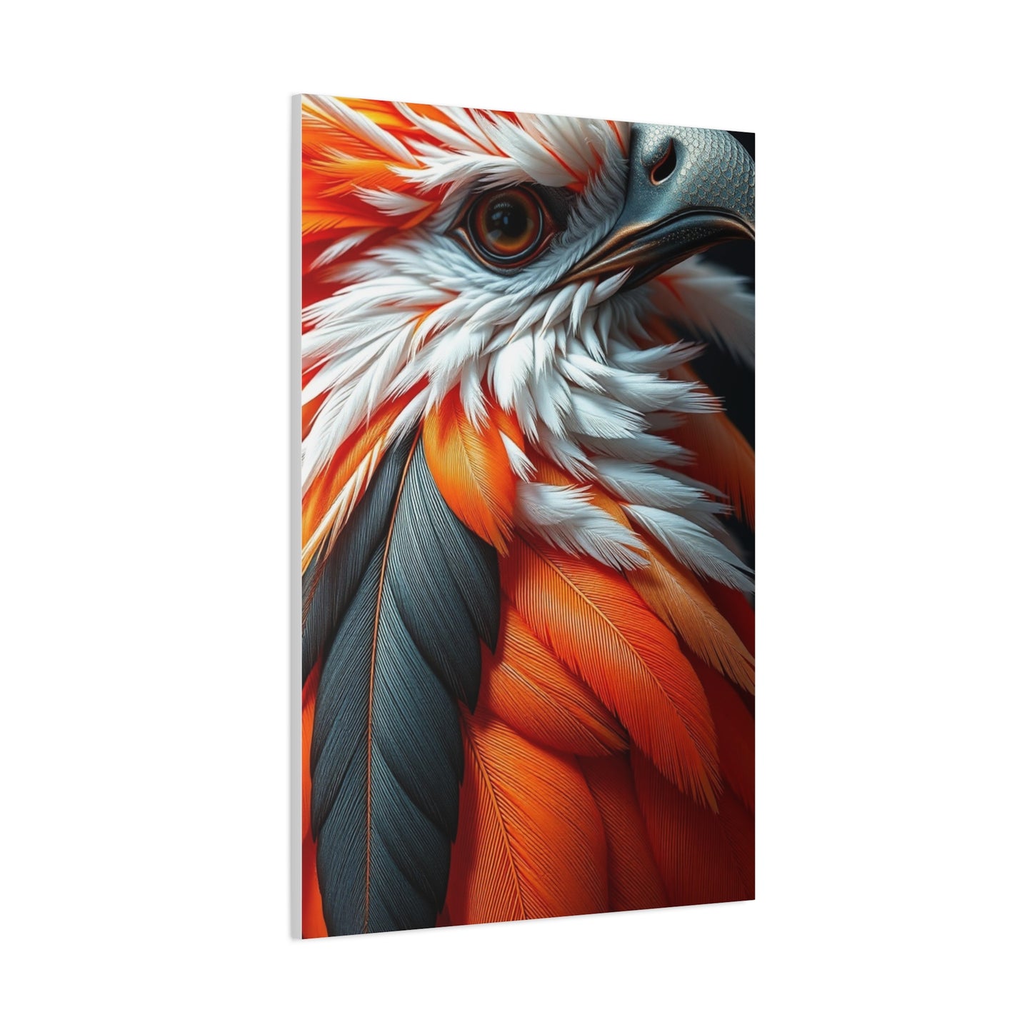 Feather Art Supreme Gallery Wall Art & Canvas Print