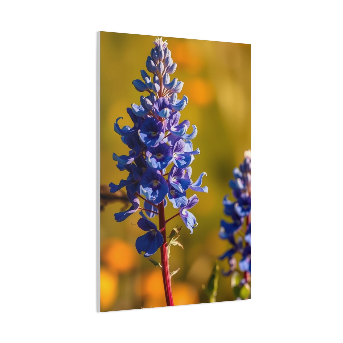 Bluebonnet Flower Art Luxury Canvas Wall Art & Canvas Print