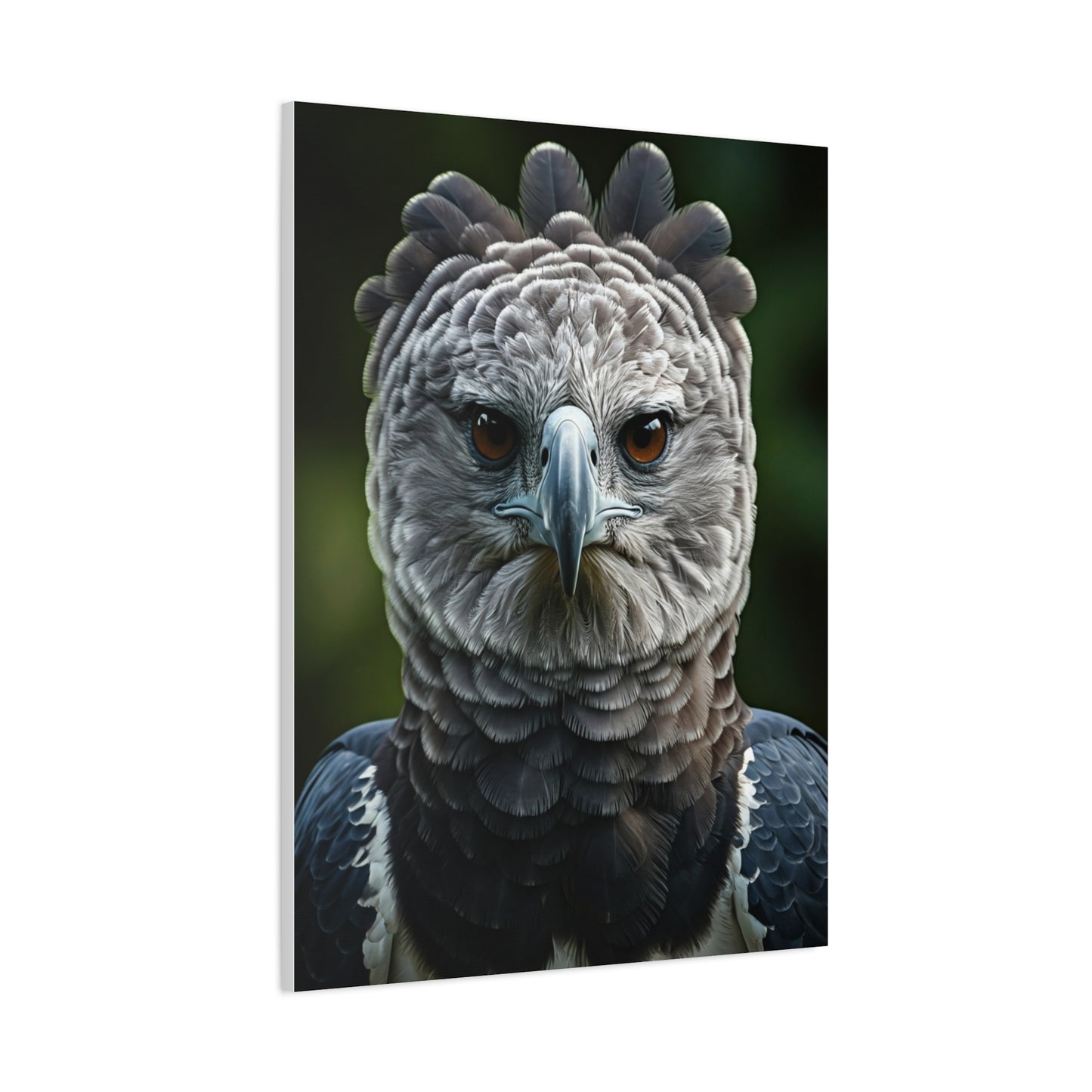 Regal Harpy Eagle Portrait Wall Art & Canvas Prints