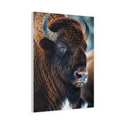 Three-Quarter Angle American Bison with Soft Natural Backdrop Wall Art & Canvas Print
