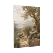 Olive Grove Coastal Serenity Wall Art & Canvas Print