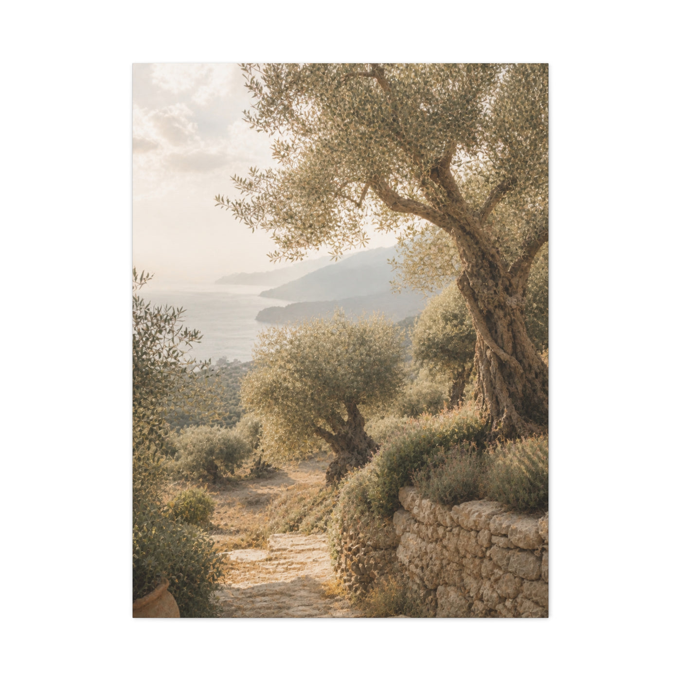 Olive Grove Coastal Serenity Wall Art & Canvas Print
