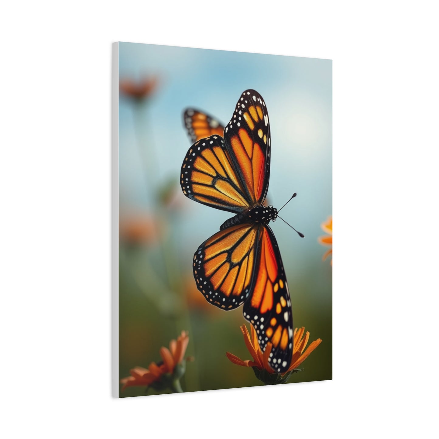 Monarch Butterflies Art Supreme Canvas Wall Art & Canvas Print