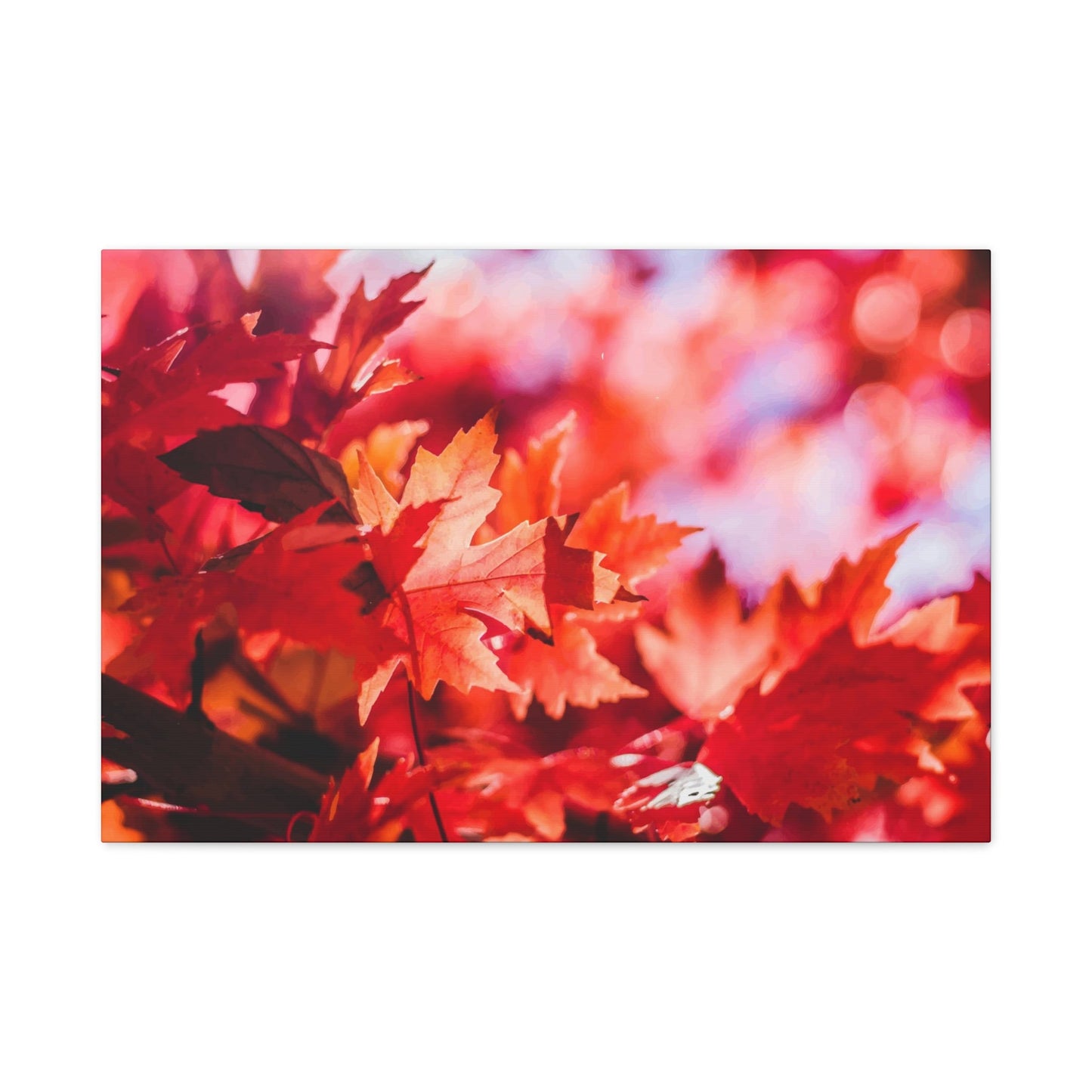 Autumn Flower Wall Art & Canvas Prints