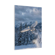 Snowy Owl Mountain Flight Wall Art & Canvas Print