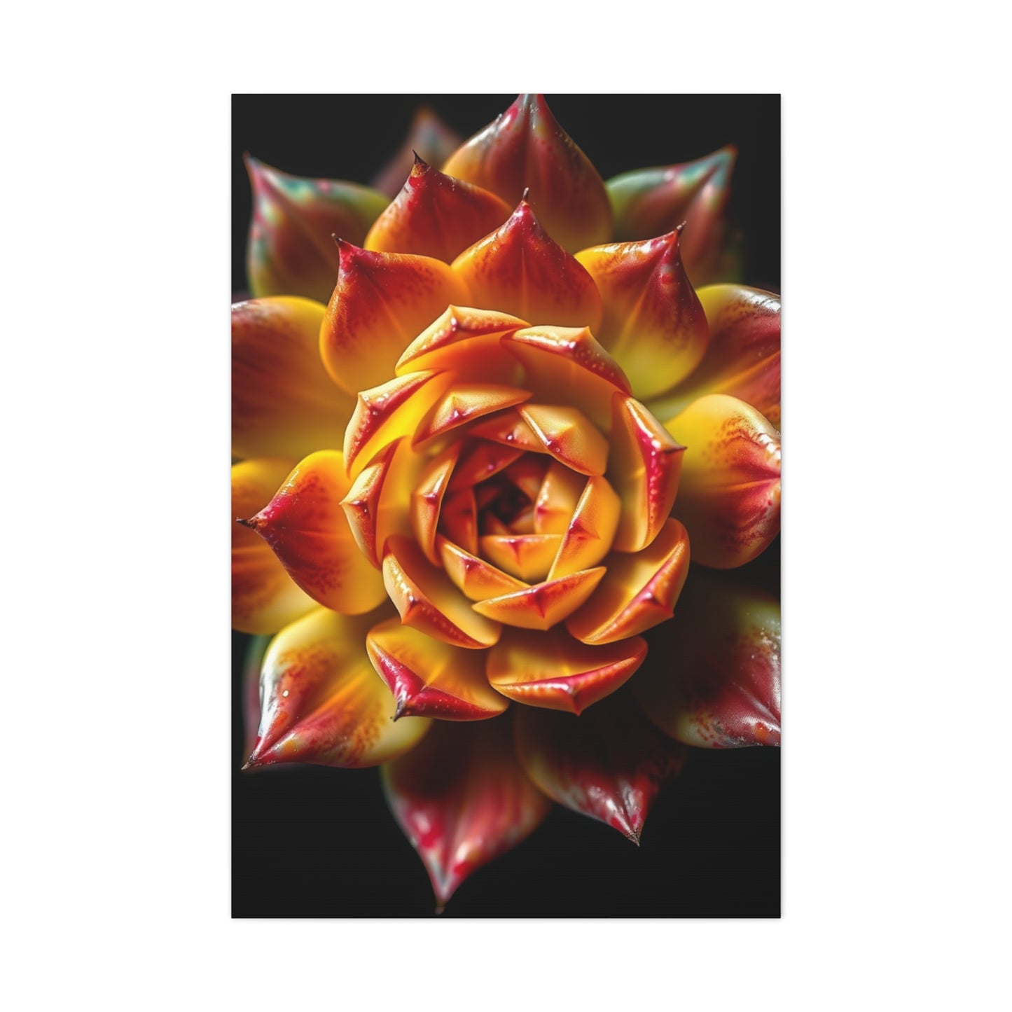 Supreme Succulent Art Beautiful Collection Wall Art & Canvas Print